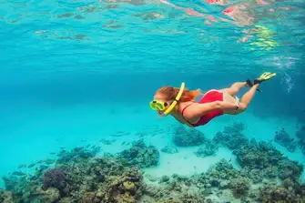 Snorkel in secluded sanctuaries and discover the world underneath the surface