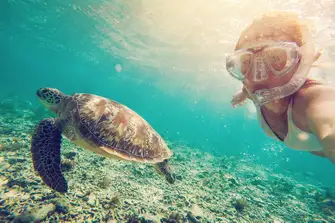 Create a lifetime of memories and swimming with the magnificent sea turtles
