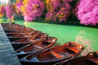 Go for a slow paddle down the turquoise lake as you admire the vibrant foliage&nbsp;