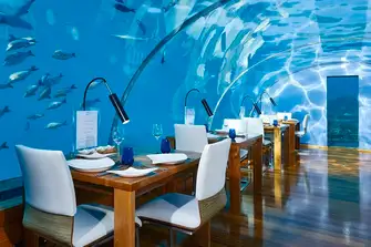 Enjoy a lovely romantic dinner with marine life for company&nbsp;