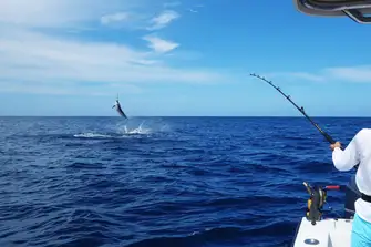 Enjoy a relaxing afternoon of sport fishing aboard your charter&nbsp;