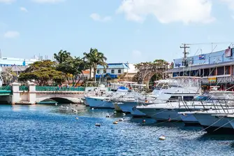 Attend regattas hosted by the club or explore further into Barbados